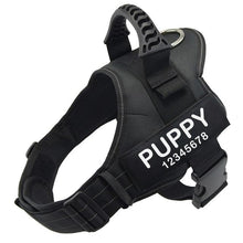 Load image into Gallery viewer, Personalized No Pull Dog Harness