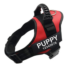 Load image into Gallery viewer, Personalized No Pull Dog Harness