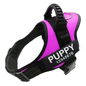 Personalized No Pull Dog Harness